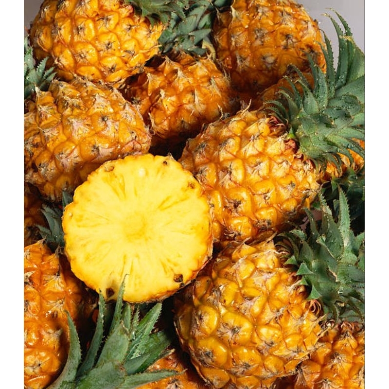 

nanas madu kelud