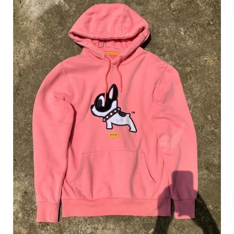 hoodie pancoat dog