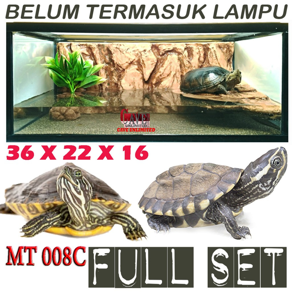 MT008C AKUARIUM FULLSET PAKET KANDANG KURA AIR TURTLE BRAZIL RES CST KURA AMBON DAMER AKUARIUM TERRA