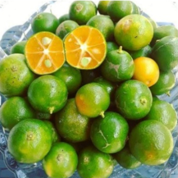 

FLASH SALE 2.2 READY JERUK KASTURI / JERUK SONKIT 500gr GROSIR MURAH