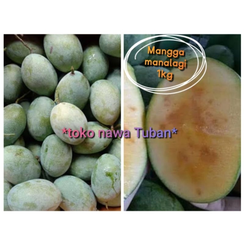 

mangga manalagi 1kg buah mangga 1kg manis