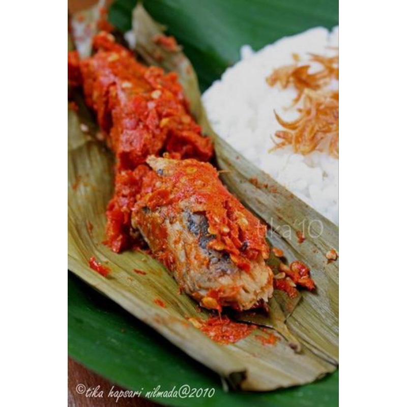

pelas tongkol