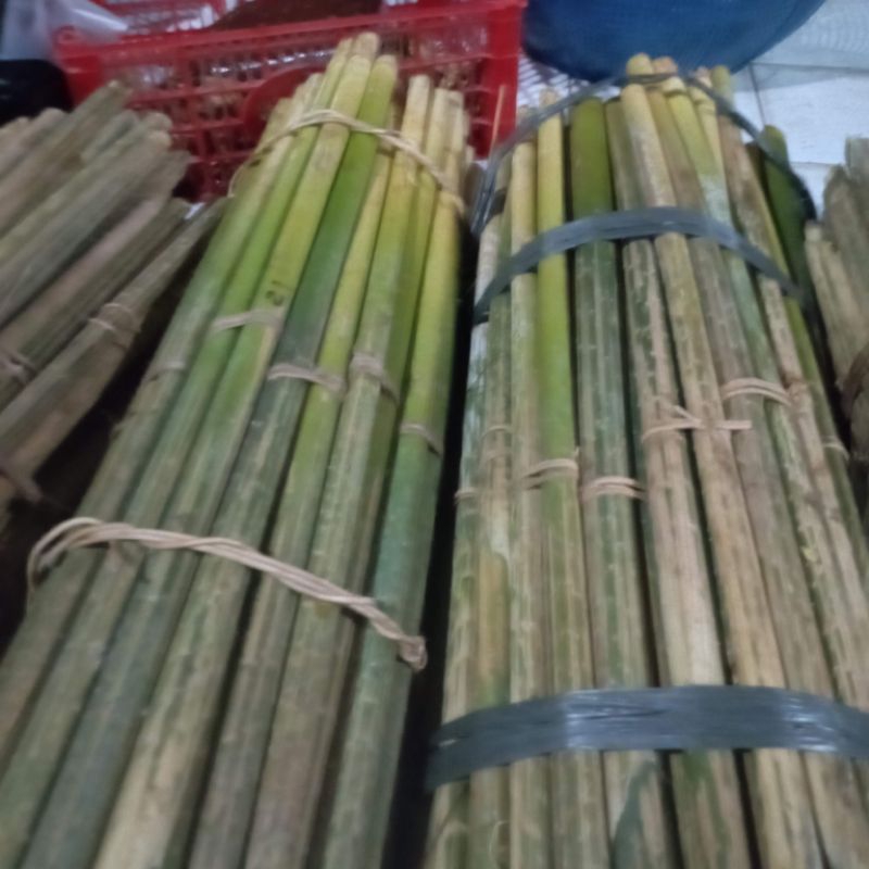 

umbut rotan