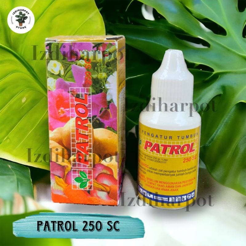 PATROL 250 SC 25 ML ZPT ZAT PENGATUR TUMBUH - PATROL 25 ML KECIL