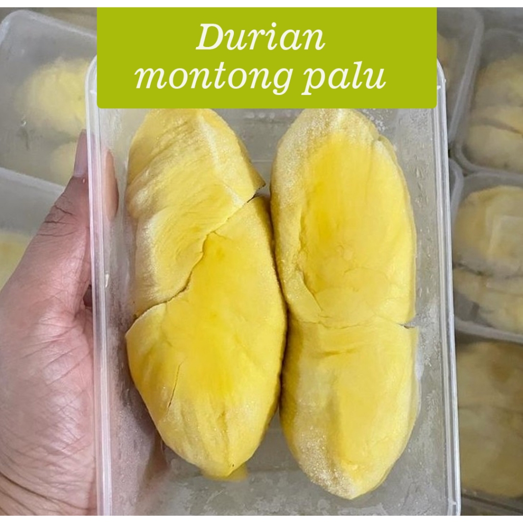 Durian Montong Palu - Durian Palu - Durian Montong - Durian - Buah Durian