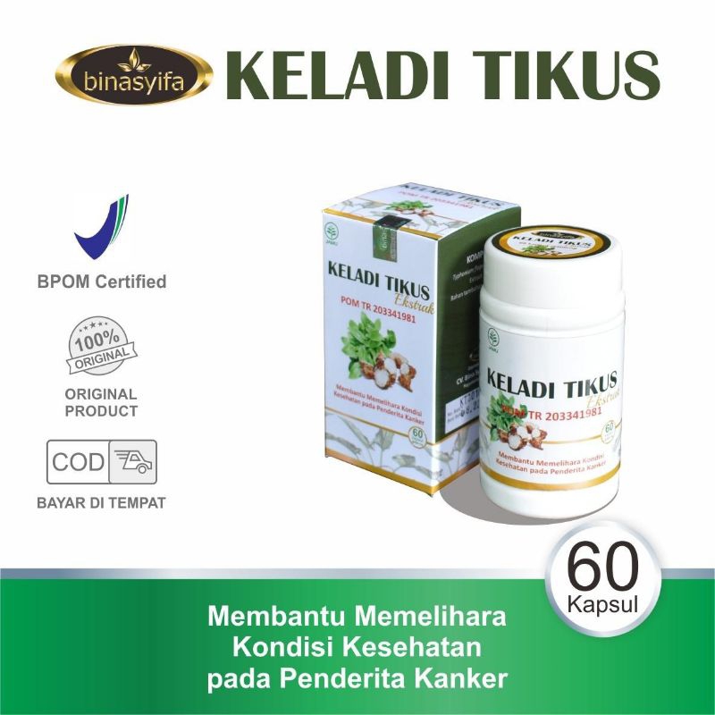 KELADI TIKUS Ekstrak Kapsul Obat Kanker Kista Tumor Mioma Mencegah kangker