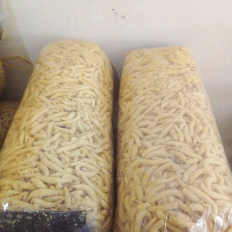 

Telur Gabus Keju Besar