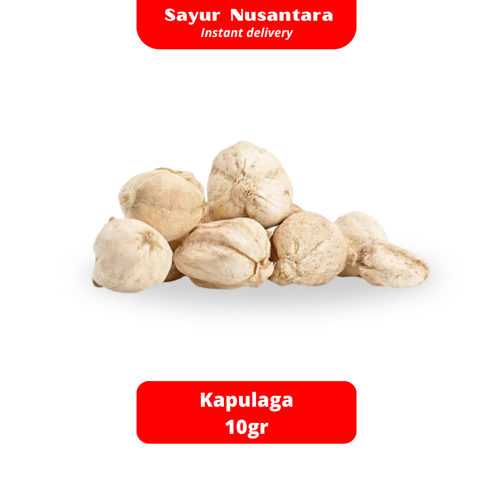 

Kapulaga 10gr - Sayur Nusantara