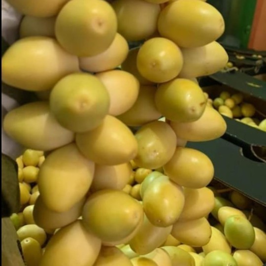 Kurma Muda Barhee promil/Fresh Manis 1KG / 1000gr ruthob barhee