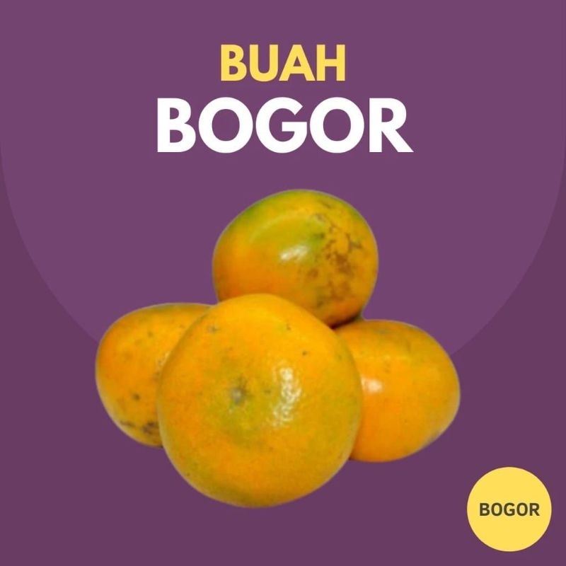 

Jeruk Medan Manis, Segar ( 1 kilo ) | Sayuran Fresh Bogor