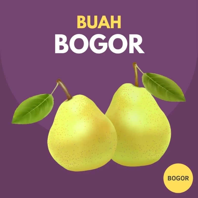 

Pear Hijau ( 500 Gram ) | Sayuran Fresh Bogor