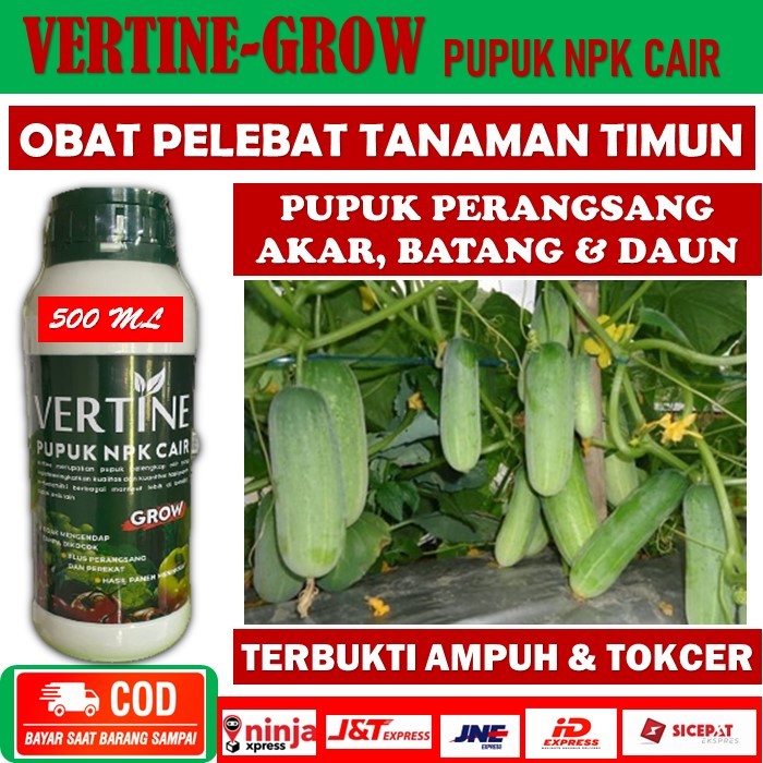 Pupuk pelebat timun/mentimun paling ampuh - pupuk organik pelebat timun cocok di setiap musim - VERT