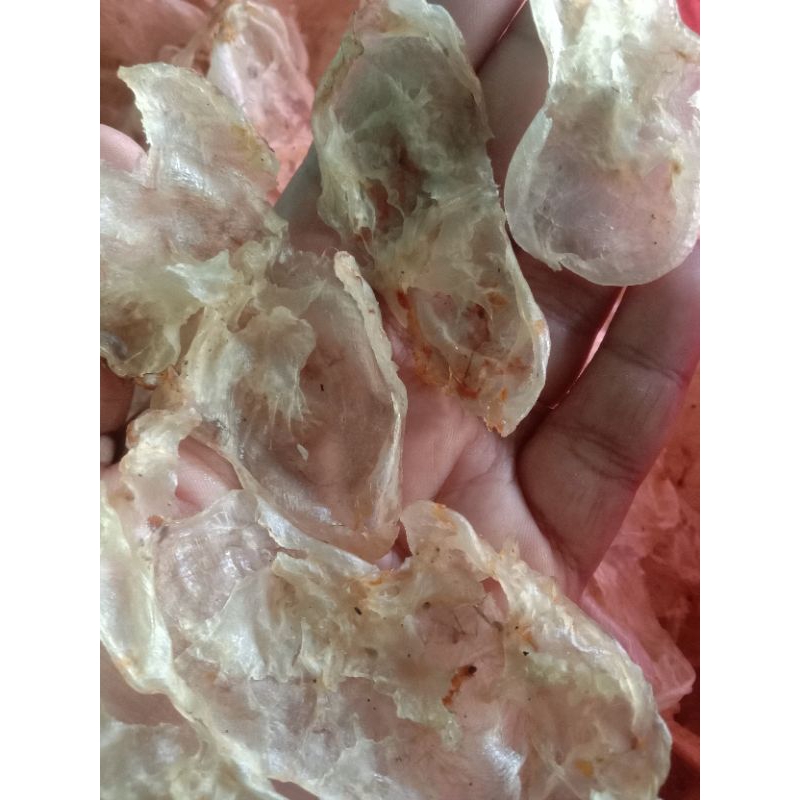 

krupukkatak/gelembungikan/lambungikan/hibio