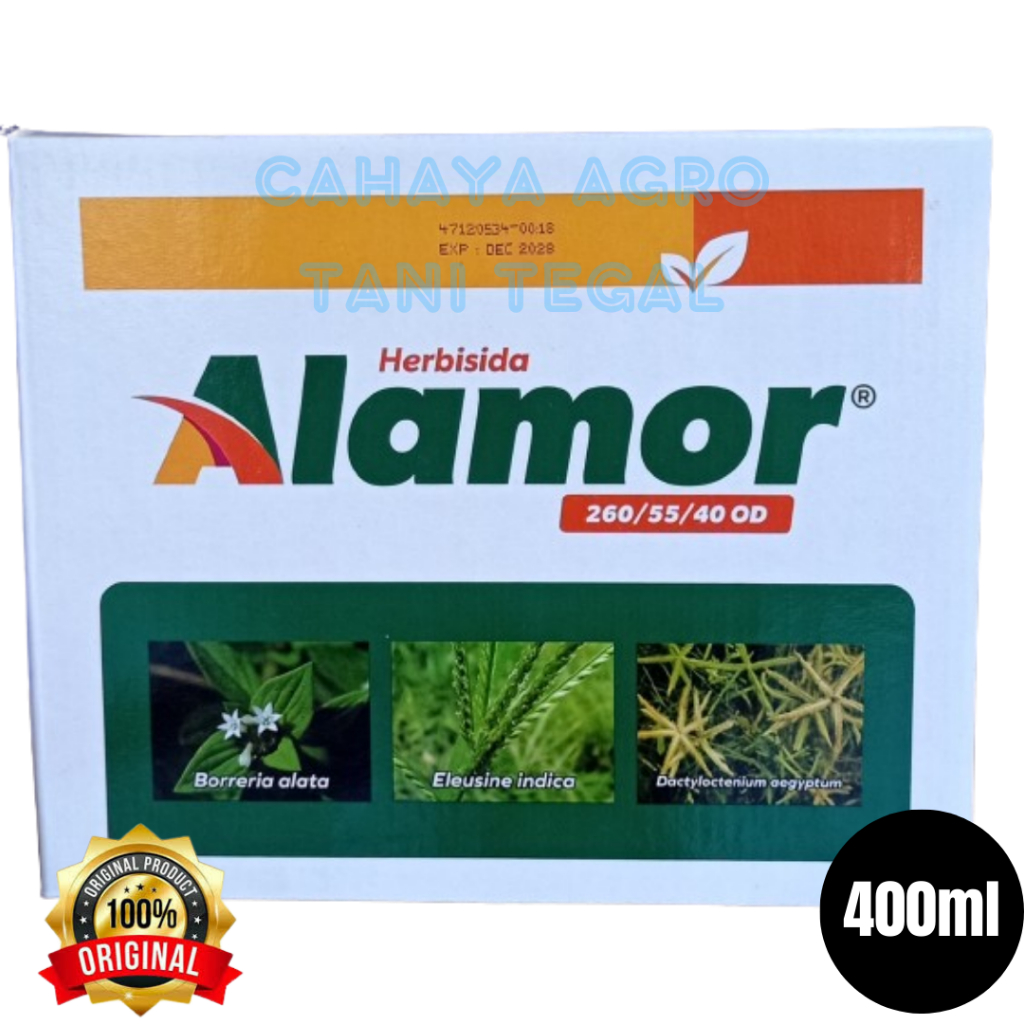 ALAMOR 400ml Herbisida 3 bahan Aktif Selektif Tanaman Jagung