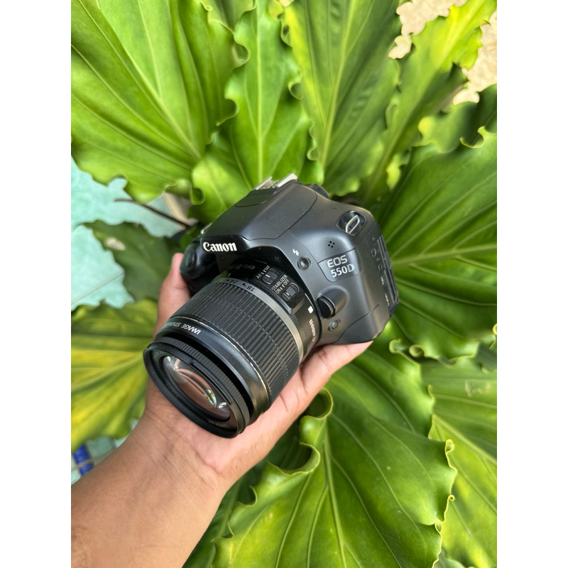 canon 550D