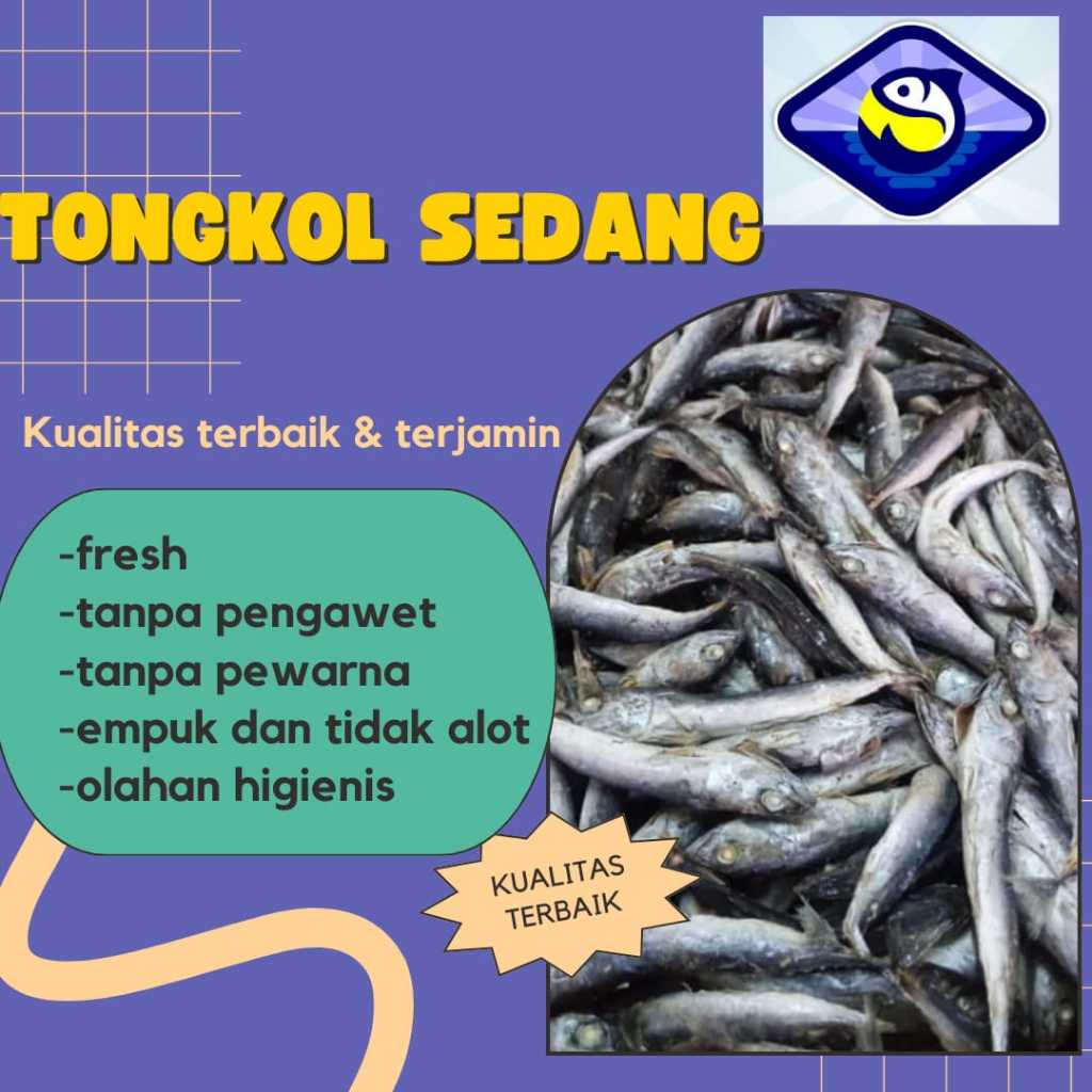 

Ikan Asin Tongkol Sedang Berat 250g 500g 1kg