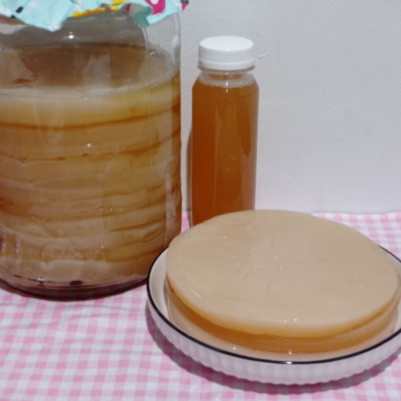 

Bibit Scoby Kombucha diameter 15cm starter 250ml