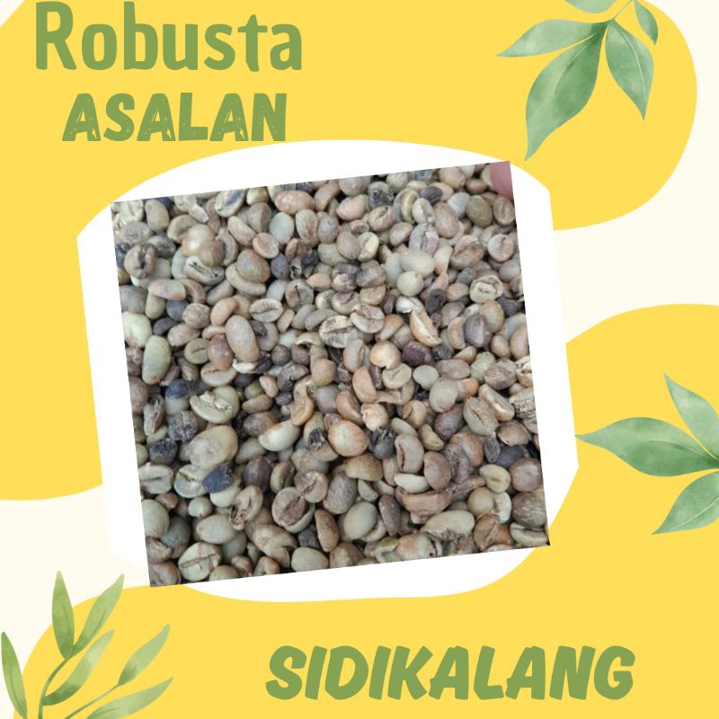 Green Bean / Biji Kopi Mentah Robusta Sidikalang - Grade Asalan (1Kg)