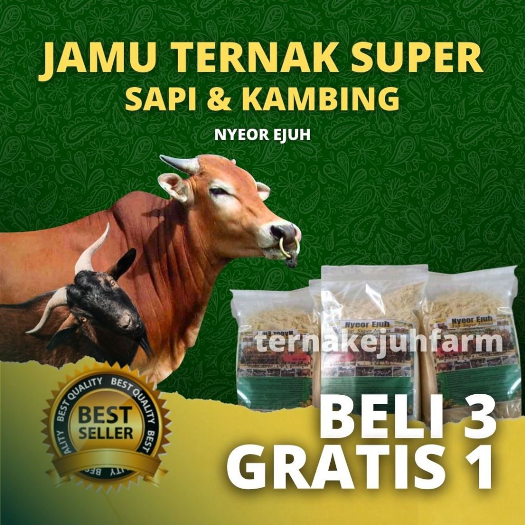 JAMU SAPI NYEOR EJUH EXTRA GULA PENGGEMUK SAPI JAMU NYEOR EJUH JAMU PENGGEMUK SAPI VITAMIN KAMBING