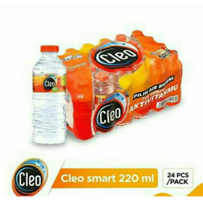

Air Cleo mini