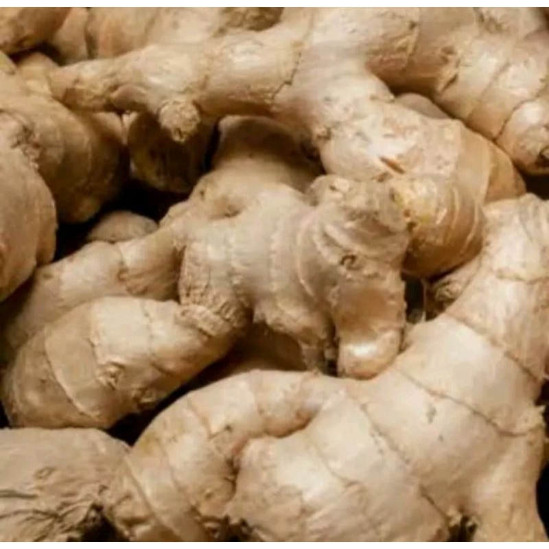 

JAHE BERSIH 250G 500G / JAMIN SEGAR