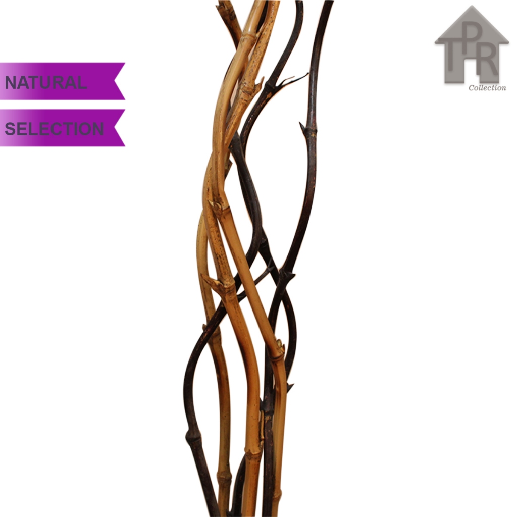 Bambu Ulir / Bambu Inul / Bambu Cendani - Natural