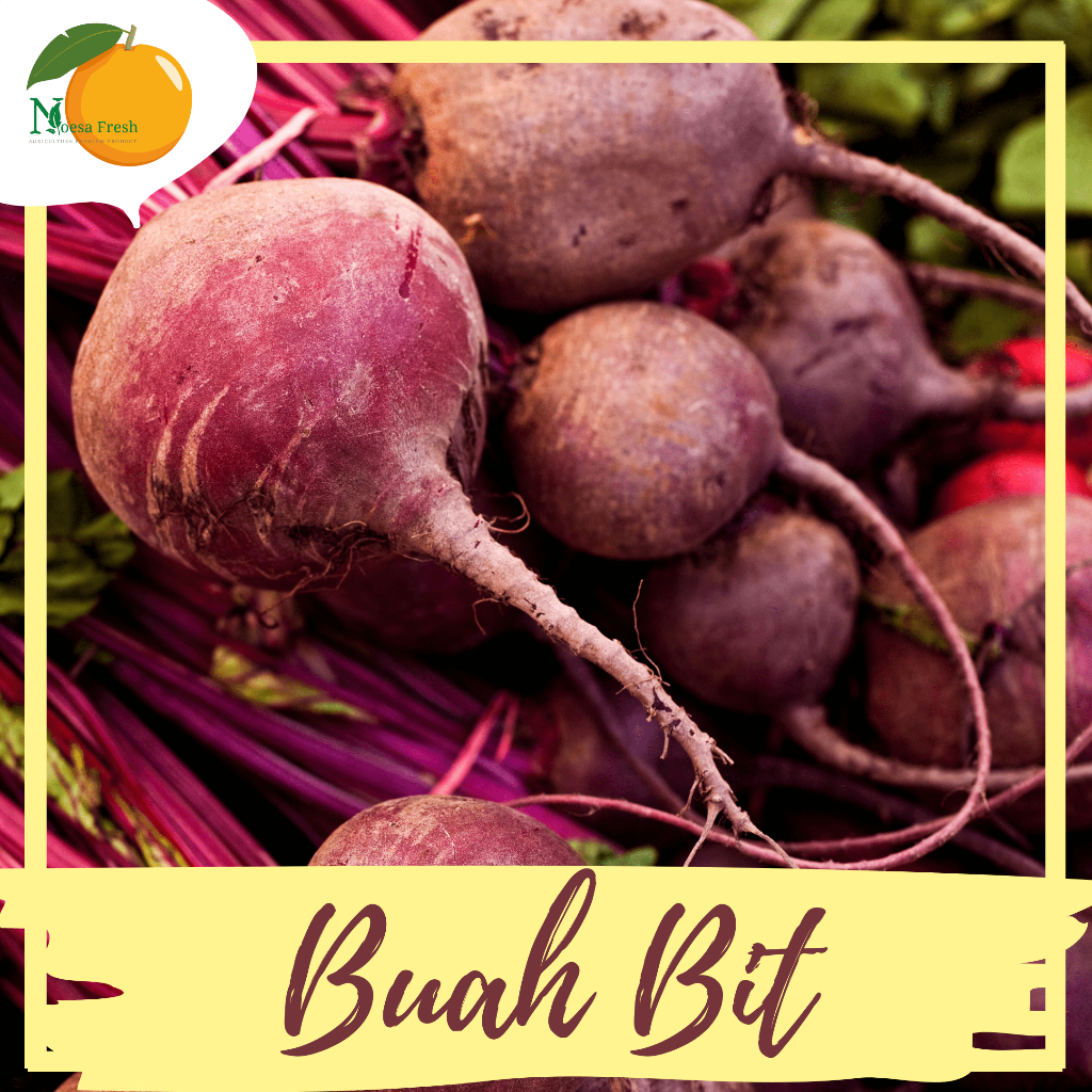 

Buah bit Fresh 1kg penambah darah Herbal