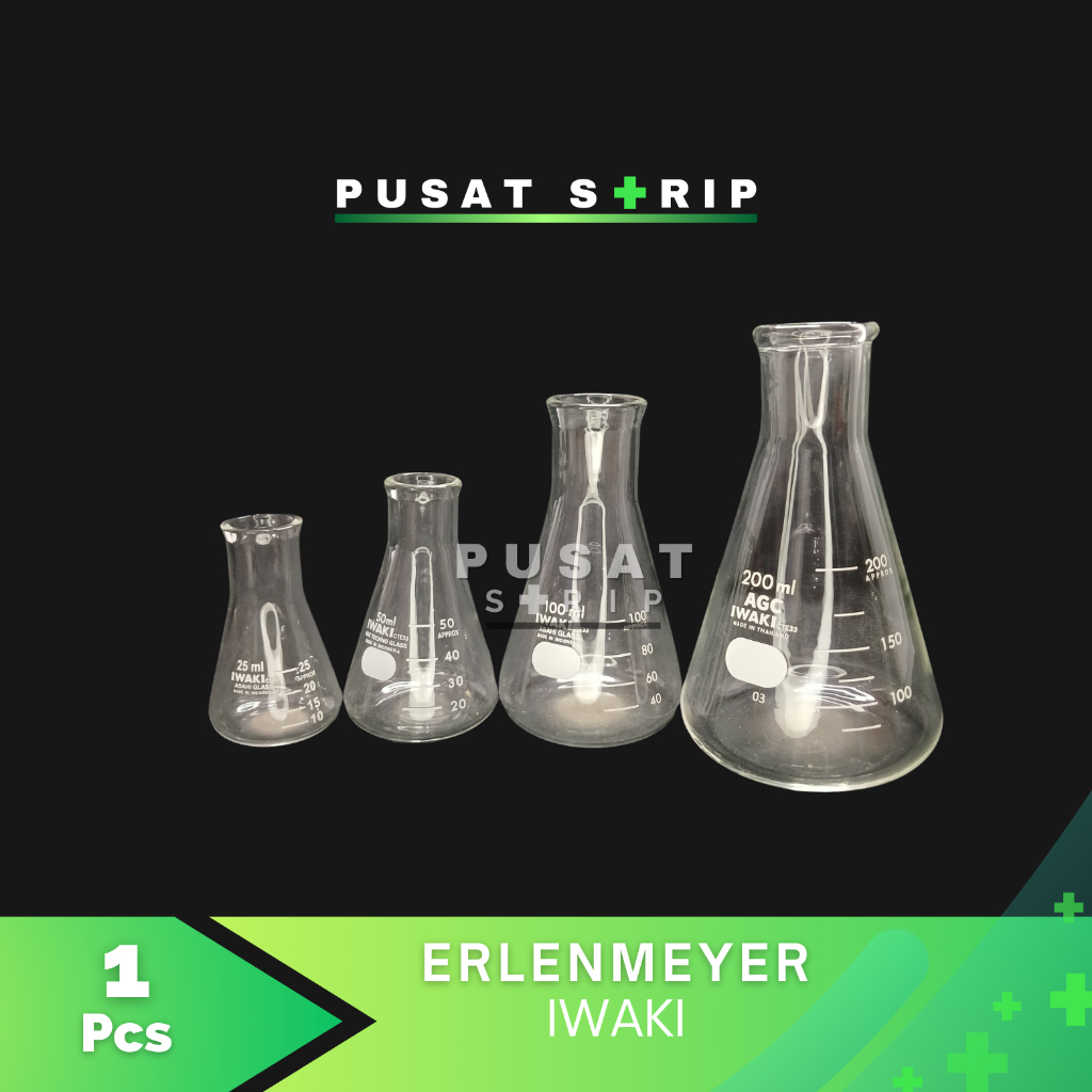 Erlenmenyer  Iwaki 100cc