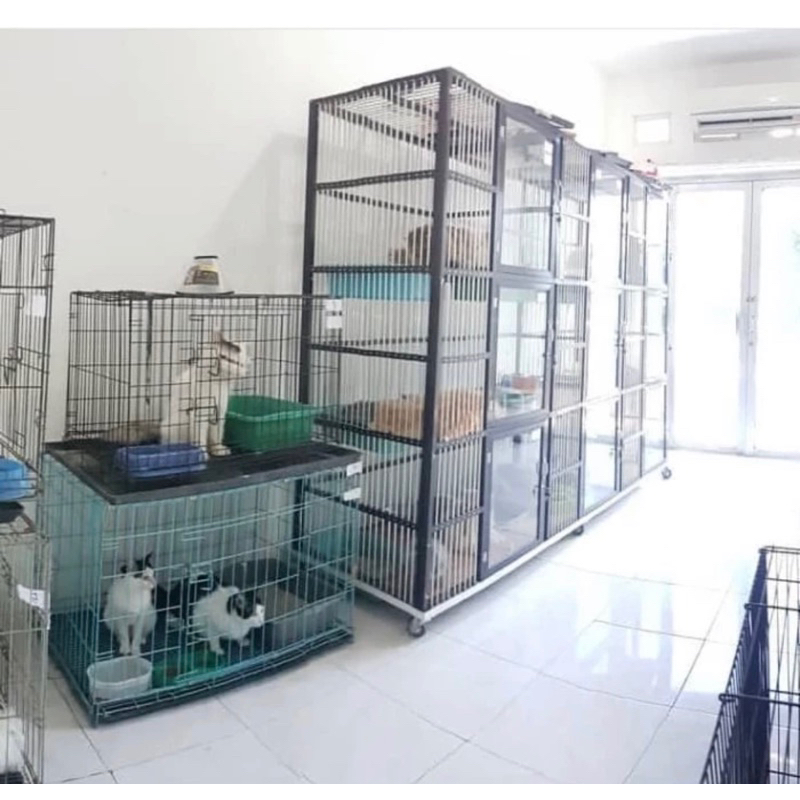 Penitipan Kucing Cibubur