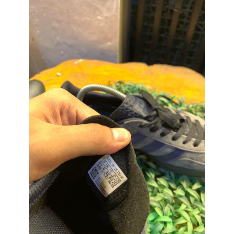 gazelle indoor marine