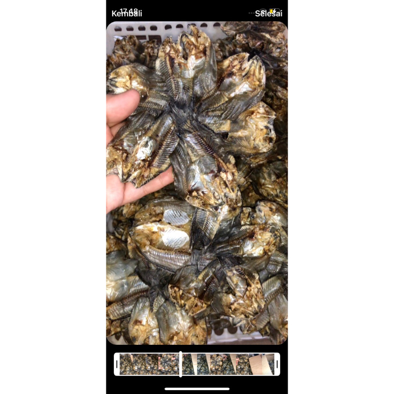 

garih papuyu bintang super kering dan krispy 1 kg