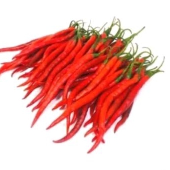 

Cabai / Cabe Merah Kriting