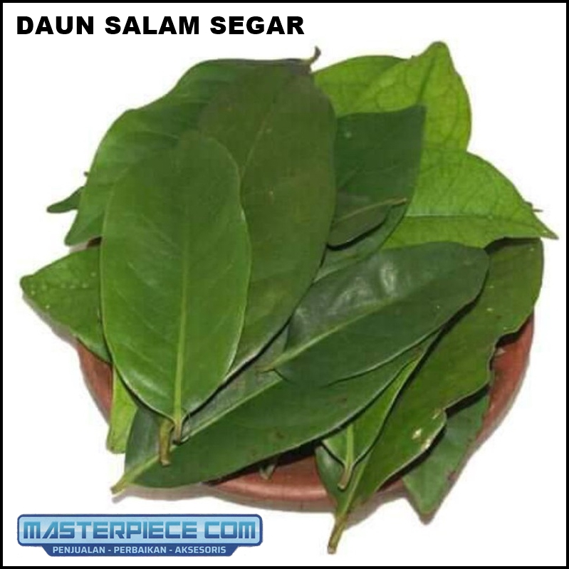 

Daun Salam Hijau 5 Lembar