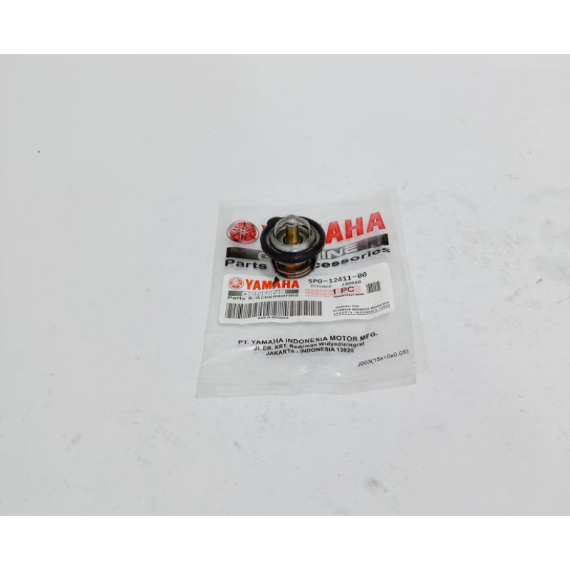 Thermostat Termostat Xeon Karbu Xeon 5PO