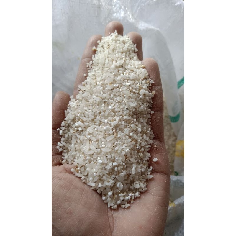 

Beras menir pakan ternak