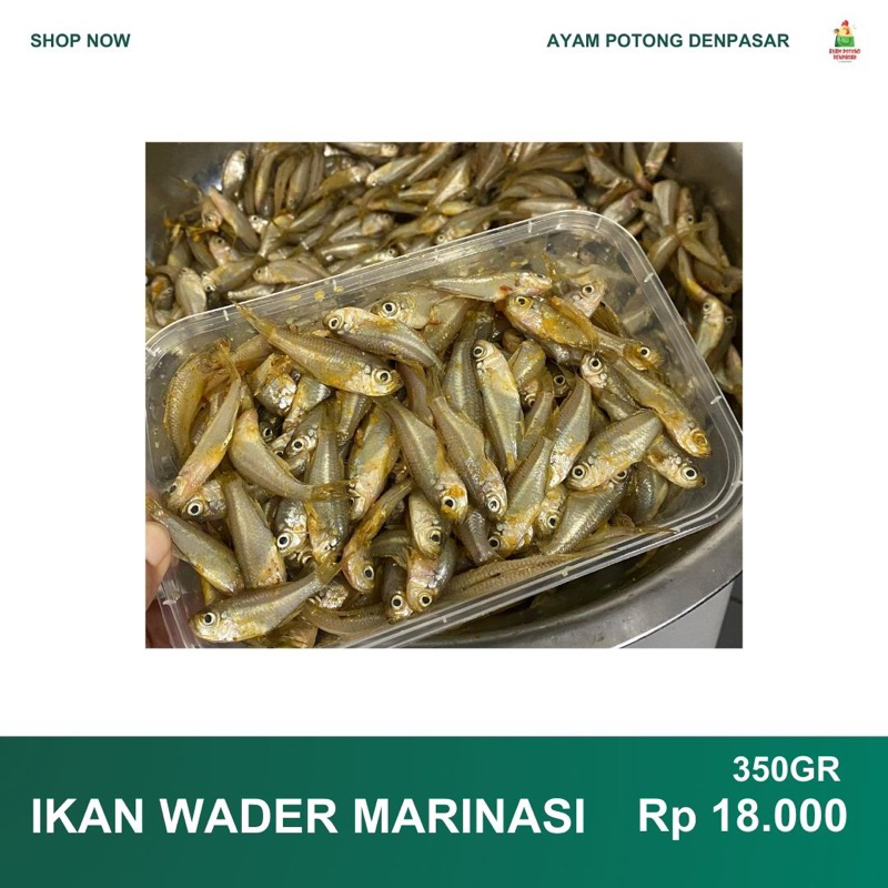 

IKAN WADER MARINASI 350GR