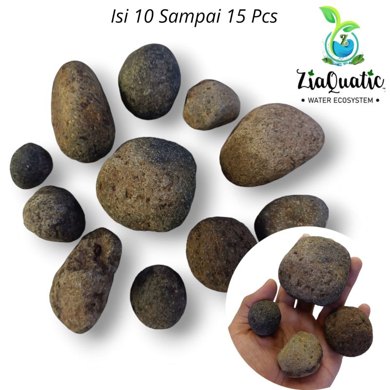 Batu Terrarium Aquascape Paludarium - Batu Kali/Riverstone Size Kecil