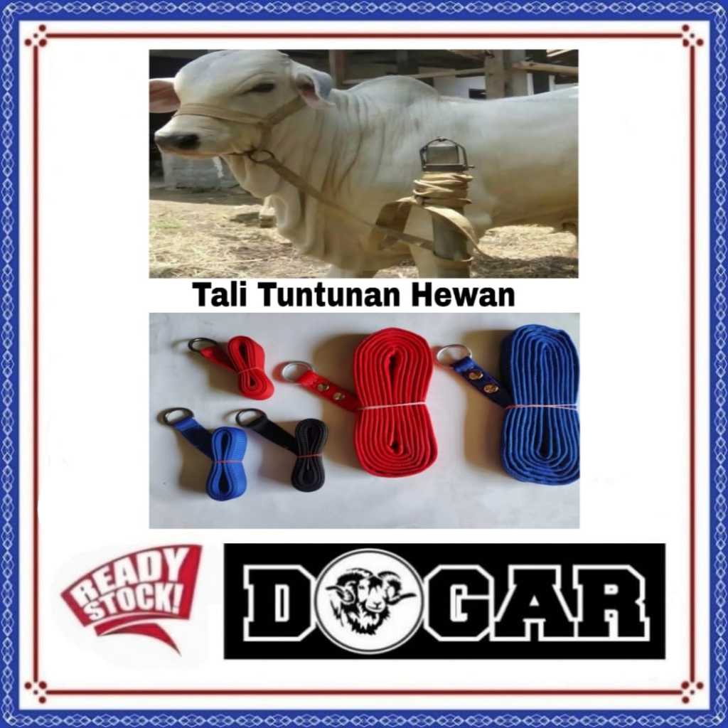 TALI PENUNTUN SAPI ,KAMBING,KERBAU,KUDA (MODEL RING O BULAT) - TALI HEWAN