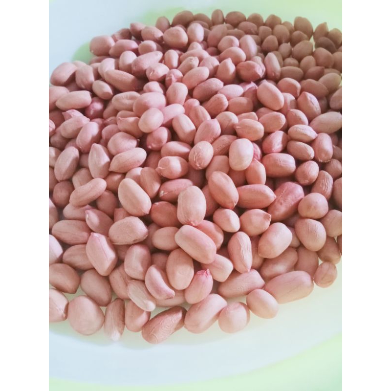 Kacang Tanah Mentah Murah/Kacang tanah kupas /Kacang tanah mentah asli/Kacang tanah lokal