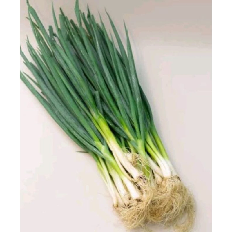 

daun bawang sayur segar