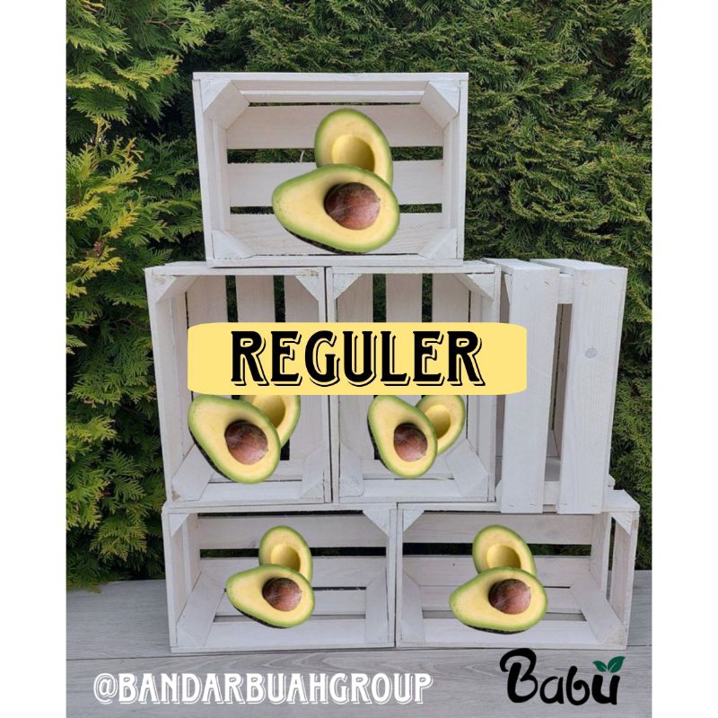 

Alpukat Mentega - Size Reguler