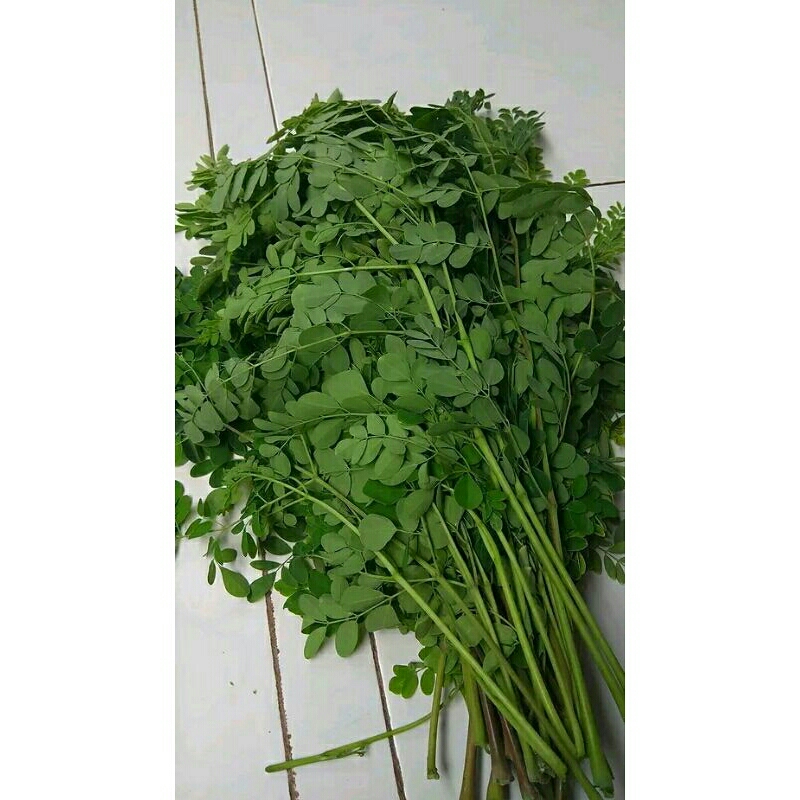 

daun kelor segar 2kg