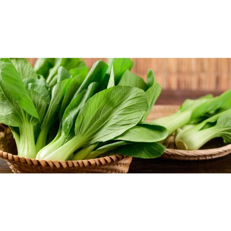 

Sayur Pakcoy Segar kecil sayur pakcoy bersih