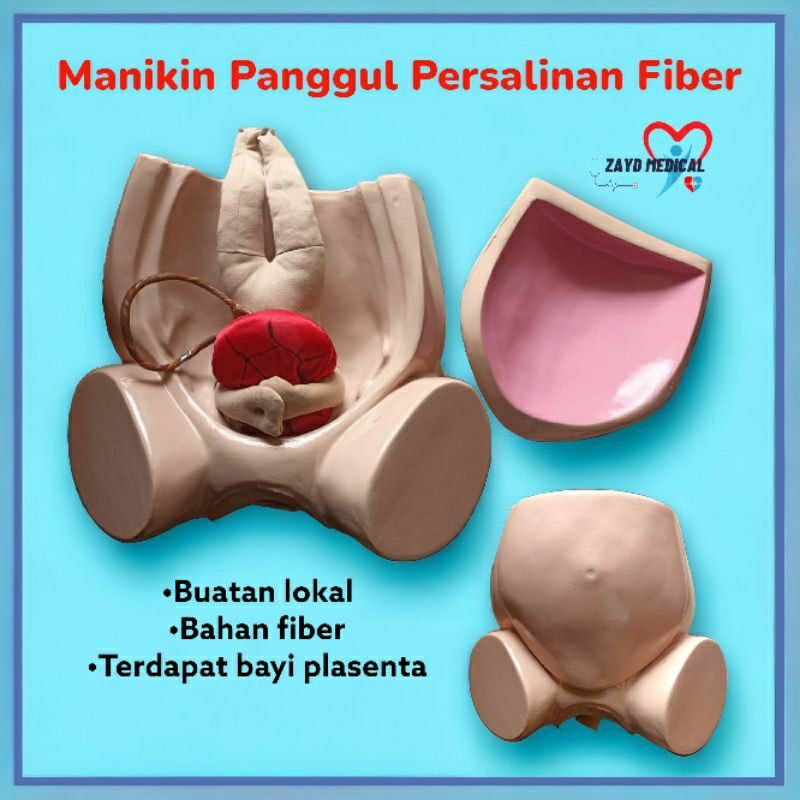 PHANTOM MANIKIN PANGGUL PERSALINAN BAYI PLASENTA/ MANIKIN PANGGUL FIBER