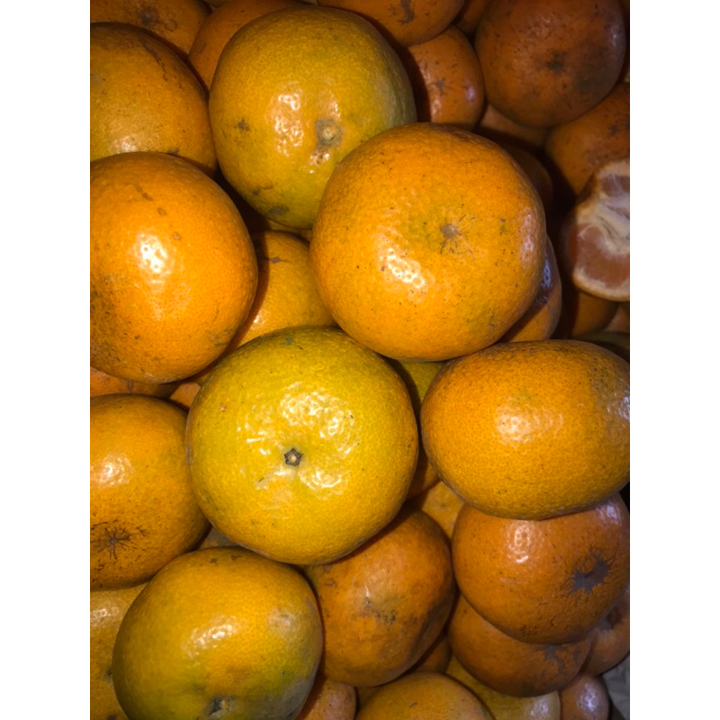 

JERUK BERASTAGI 30.000 per Kg