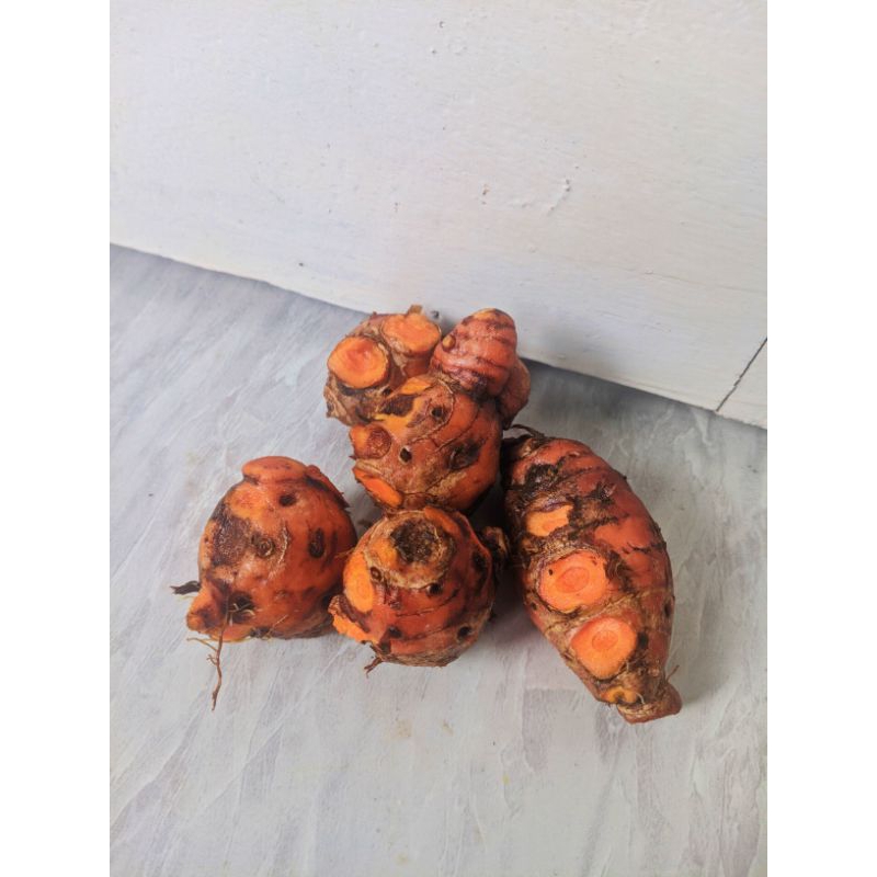 

BONGGOL KUYIT/UMBI KUYIT/IBU KUYIT 250gr