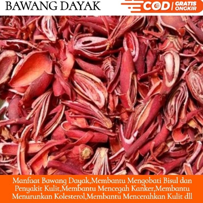

Stock Banyak Bawang Dayak Kering 1kg 42
