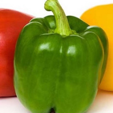 

Paling iari Paprika Hijau Kuning Merah rganik 5g rgani Bell Pepper 5g WY