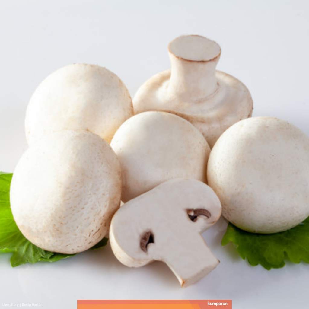 

Jamur Kancing Segar Champignon White Button Mushroom 250 gr