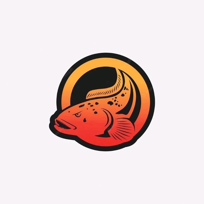 Maru YS simet dan pulchra